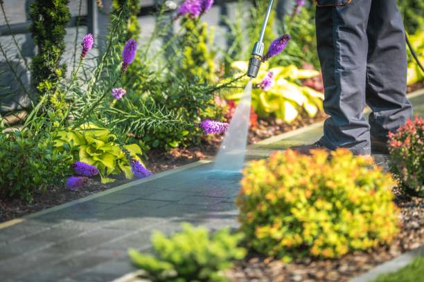 Best Fence Cleaning  in Bayou Gauche, LA